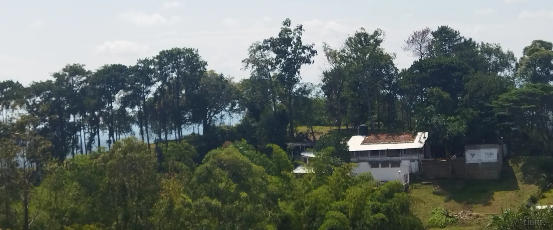 Nuestro entorno - Escuela Libre