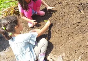Clase esencial de Agricultura - Escuela Libre Jamundí