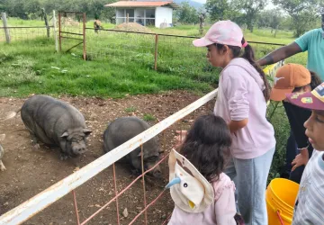 Grupo de niños observando de cerca a dos cerdos en la granja como parte de la época de oficios en la metodología Waldorf.